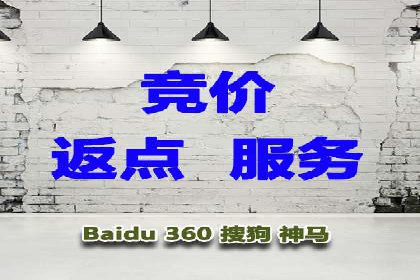 谷歌竞价案例：跨境电商广告投放策略